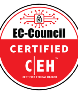 Examtopics Certified Ethical Hacker v12 Exam 312-50v12 Practice Test